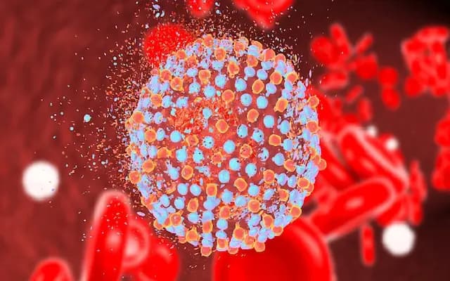 Hepatitis C Outbreak in Roorkee’s Gadharona Village: 100+ Cases Reported