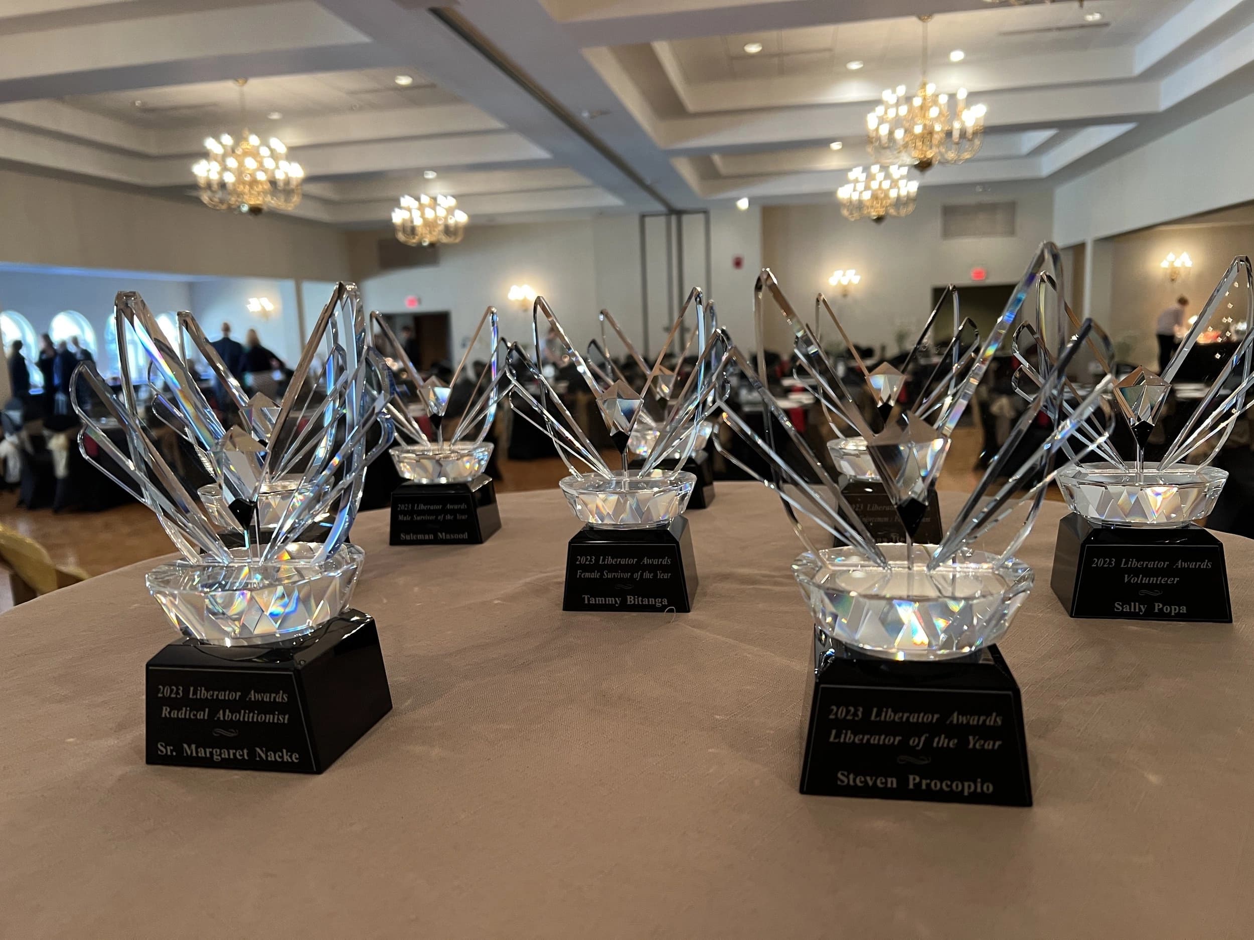 Eyes Open International & Dancy D’Souza Nominated for The Liberators Award 2025