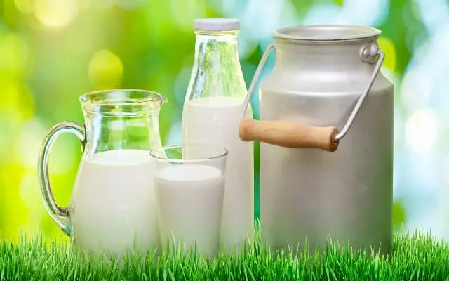 Karnataka Milk Prices to Rise by ₹5/Litre After Budget