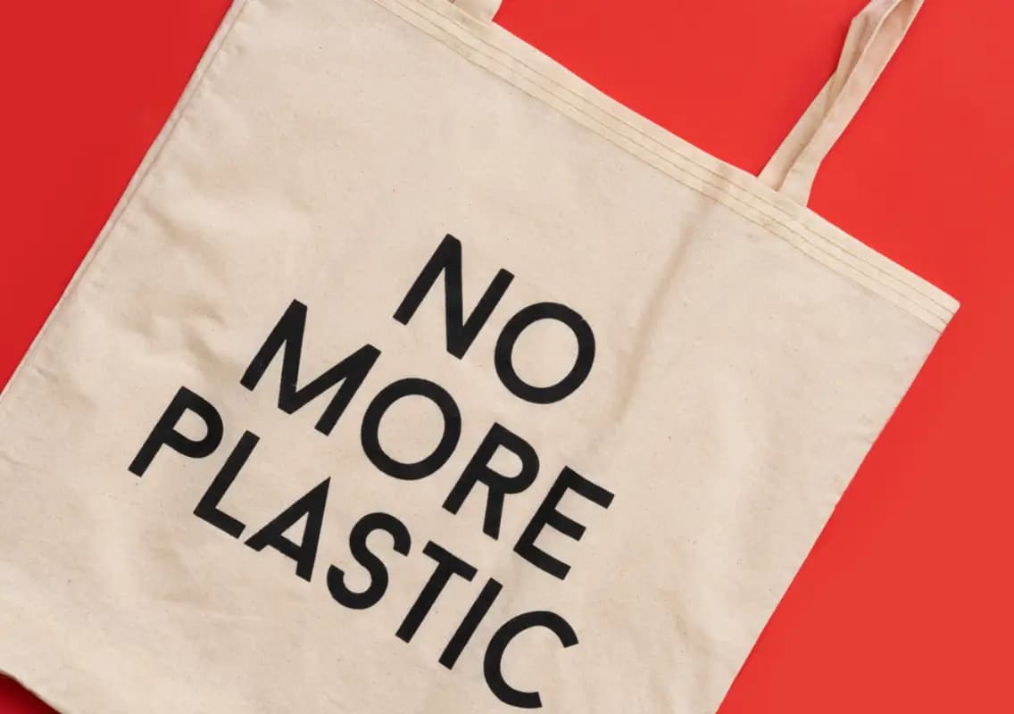 Plastic Banned in Eateries: Dinesh Gundu Rao