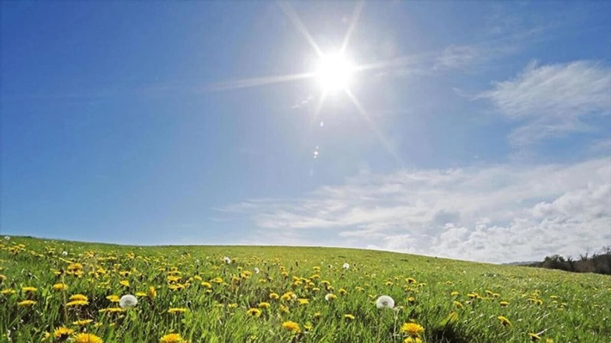 Reason why India was not so cold this winter season
