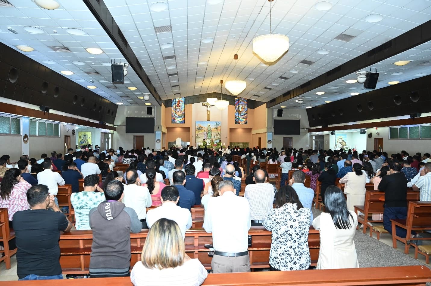Gallery image 14