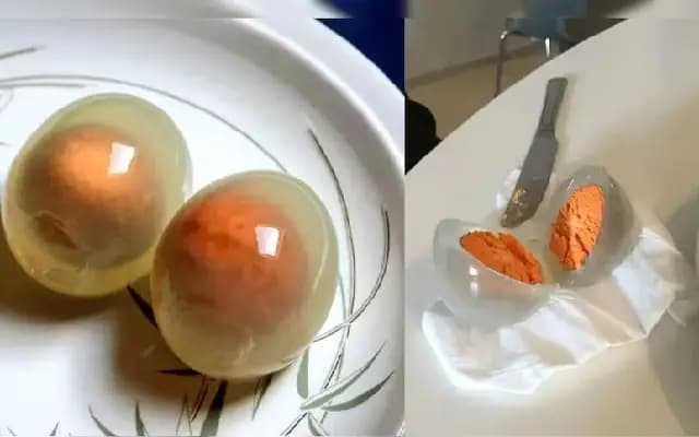 Boiling a Penguin Egg? The Bizarre Science Behind Its See-Through Whites