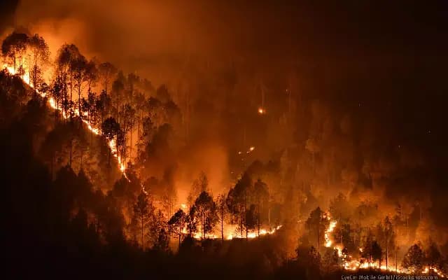 Fire breaks Out Near NH-66 Sparks Panic in Udupi
