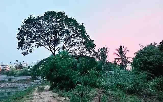Bengaluru Metro Phase-3 Depot Land Caught in Legal Dispute