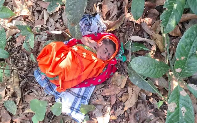 Heartless Act: Infant Girl Abandoned on Forest Path