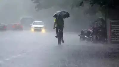 Karnataka Welcomes Light Showers, But IMD Warns More Rain Needs Higher Humidity