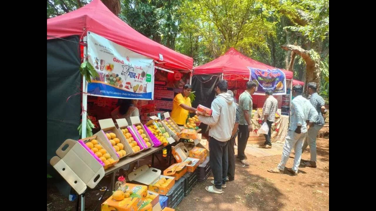Belagavi Hosts Mango Mela Amid Bumper Harvest