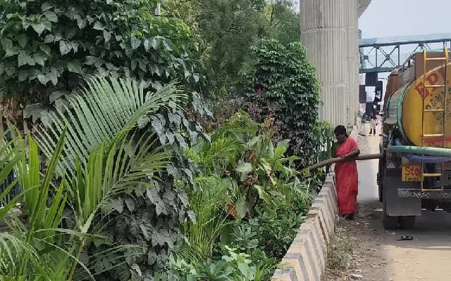 Metro Medians Go Green: BMRCL Turns Waste into Blooming Gardens