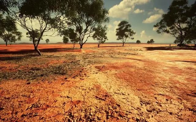 Bengaluru’s Lakes Run Dry: 53 Parched, Groundwater Levels Plummet