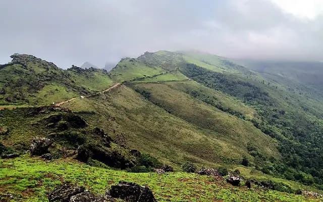 Nature-Based Solutions Could Boost Chennai & Mangaluru’s Green Cover by Over 75%