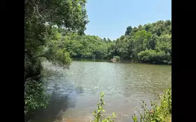 Legacy in Every Drop: A Family’s Lake Keeps 40 Acres Lush in Sullia