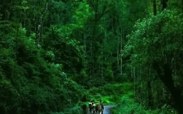 Chikkamagaluru: A Nature Lover’s Dream Destination