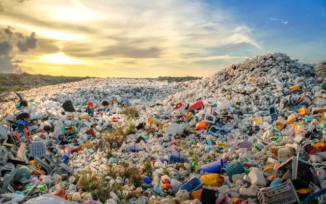 Highways or Dump Yards? Waste Menace Returns to Mangaluru