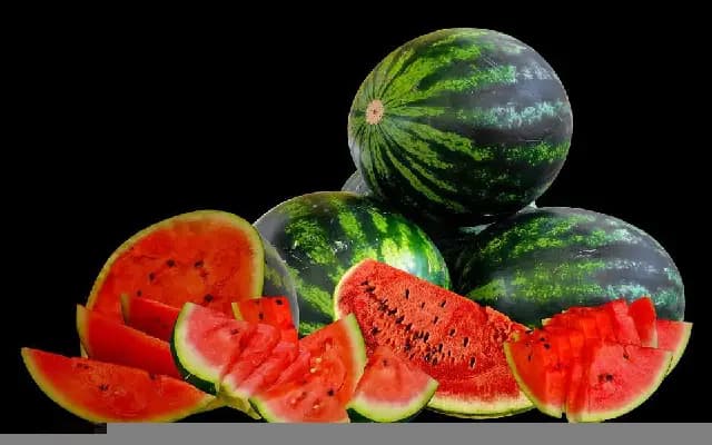 “Rumours Ripen Farmers’ Woes: Watermelon Prices Crash in Mysuru, Chamarajanagar”