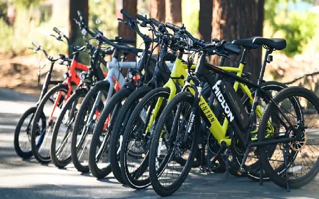 Chennai Company Donates 100 Bicycles to Tirupati Temple in Noble Offering