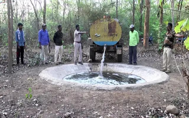Forest Dept’s Efforts Bring Relief to Wildlife Amid Summer Water Crisis