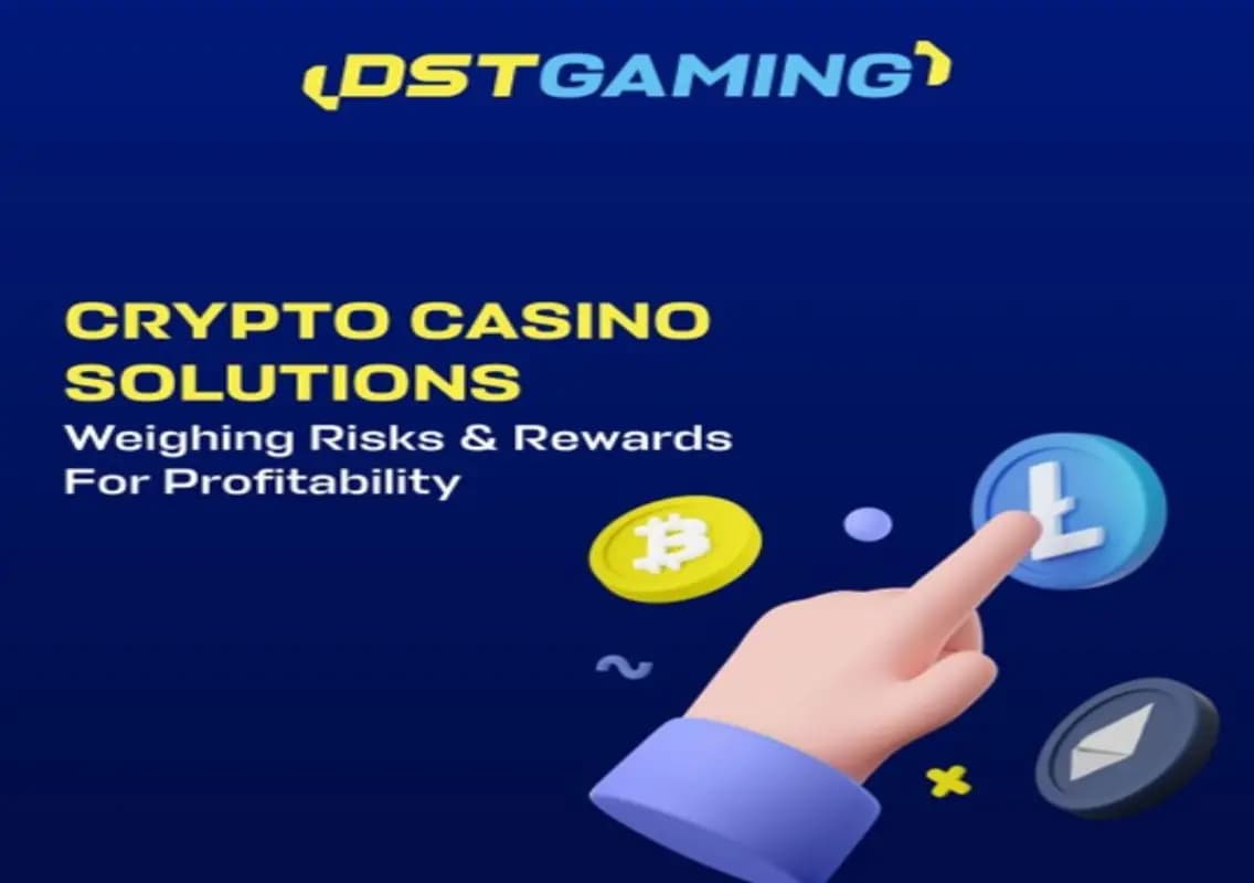 Crypto Casino Solutions: Provider Analysis of Risk Vs Reward