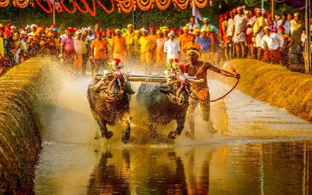 Kambala Gallops into Dasara Sports Meet: DK Shivakumar’s Big Boost to Coastal Culture