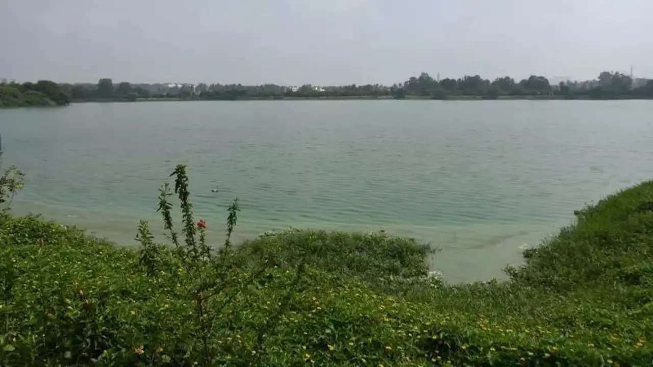 Lakes Under Siege: Encroachments Persist Despite Surveys, Farmers Raise Alarm