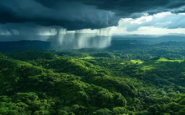 Kodagu Gears Up for Monsoon: Helplines Set, Relief Measures in Place