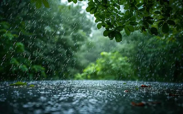 Coastal Karnataka Braces for Red Alert as Monsoon Rains Ease Briefly