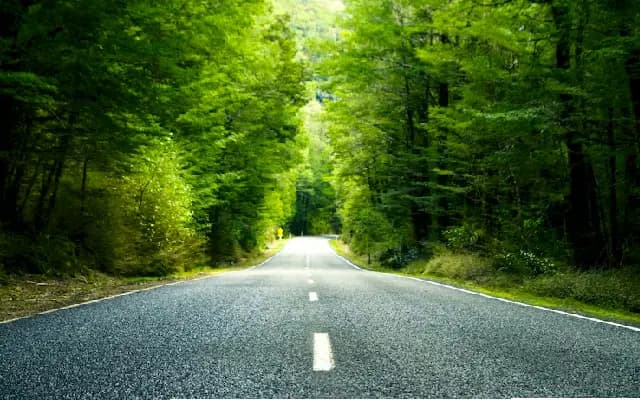 Belagavi’s Club Road to be Renamed After Veteran Leader B Shankaranand