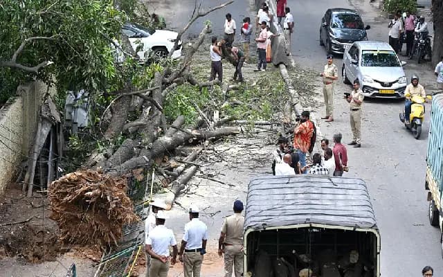 Tree Trouble at Bengaluru Shivananda Circle: Two Injured in Sudden Collapse