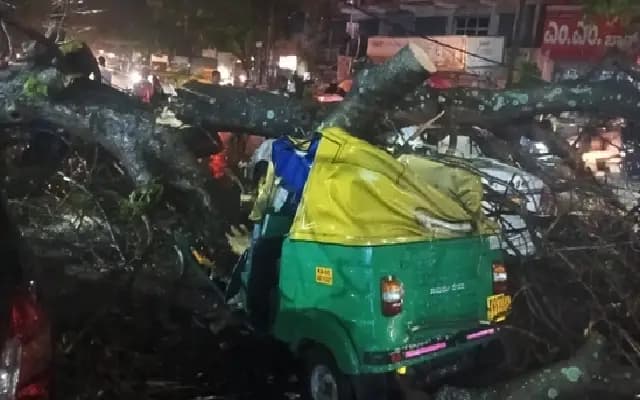 Bengaluru Lashed by Pre-Monsoon Fury, Autodriver Killed in Tree Collapse