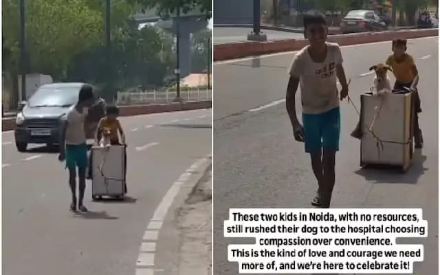 Young Heroes: Noida Kids Show Compassion for Injured Dog