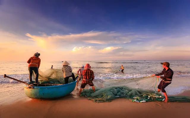 Fishing Ban from June 1: 61-Day Moratorium Along DK Coast