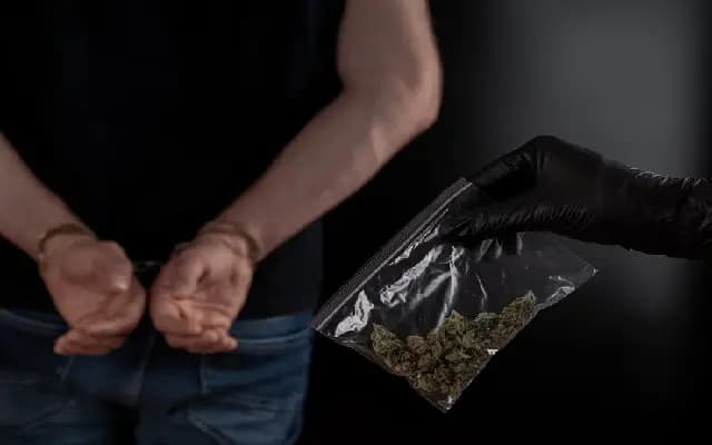 Hydro Ganja Worth ₹18 Lakh Seized in Koppal; 8 Nabbed in Major Drug Bust