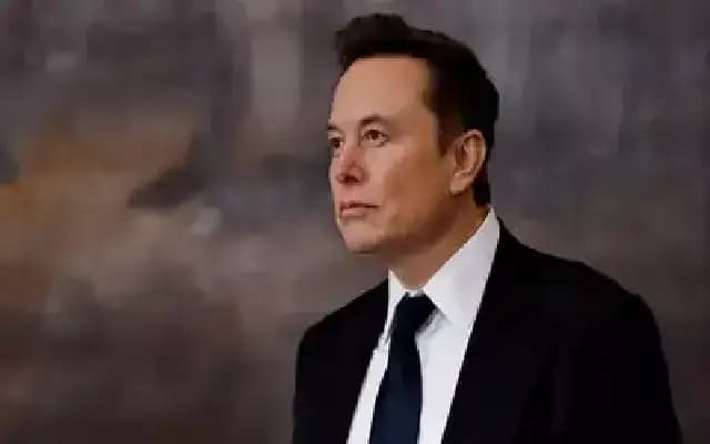 Majority of Democrats Back Imprisoning Elon Musk: Poll