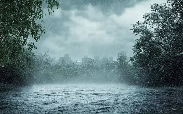 Nightlong Rains Swamp Mangaluru: Streets Turn Streams