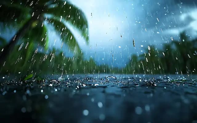 Coastal Karnataka Soaked as Heavy Rains Trigger Alerts and Action