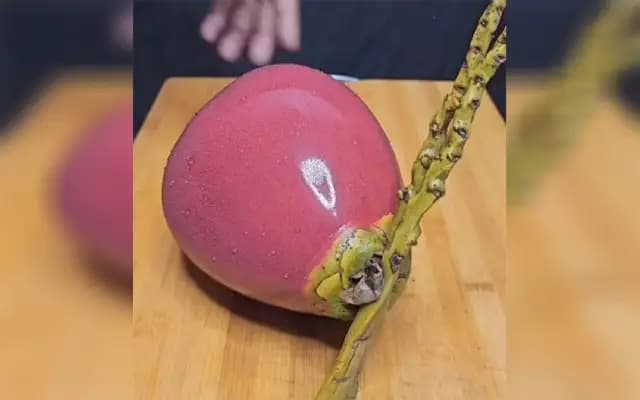 Mangaluru’s ‘Blushing’ Coconut Goes Viral, Sparks Curiosity and Laughter