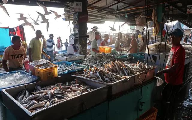 Foul Smell and Filth Haunt Urva Fish Market; Public Anger Grows Over Civic Apathy