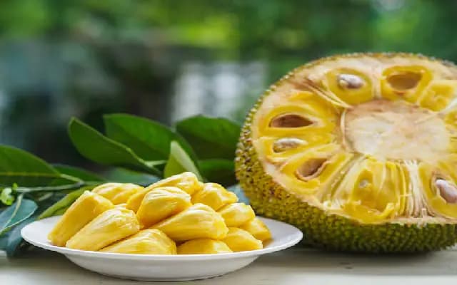 Mangaluru: Kudla Pelakai Parba Set to Celebrate Jackfruit & Local Farming Spirit
