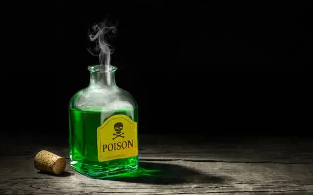 Just 36 Days After Marriage, Woman Allegedly Poisons Husband in Garhwa