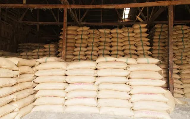 Illegal Stockpile of Govt Rice Seized in Udupi Shop Raid