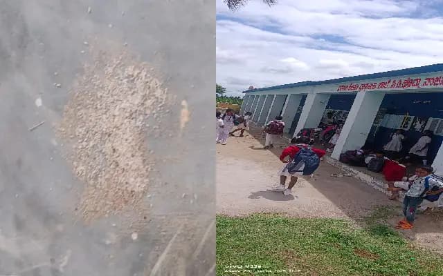 Worms Found in Midday Meal at Nanjangud School, Parents Demand Action