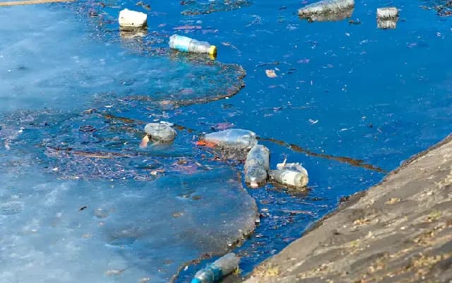 Udupi Residents Demand Action as Meat Shop Waste Pollutes Society Premises