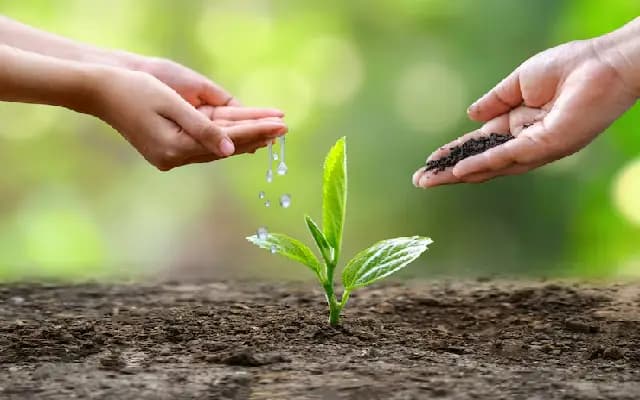 Green Heroes Honoured at ‘Amara’ for Transforming Mangaluru’s Urban Landscape