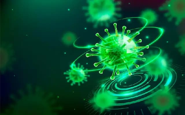 New HKU5-CoV-2 Variant in China Raises Fears of Potential Pandemic