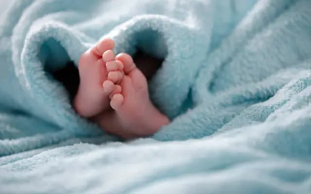 Hyderabad Clinic Busted for Fake Surrogacy, Baby Sale Racket