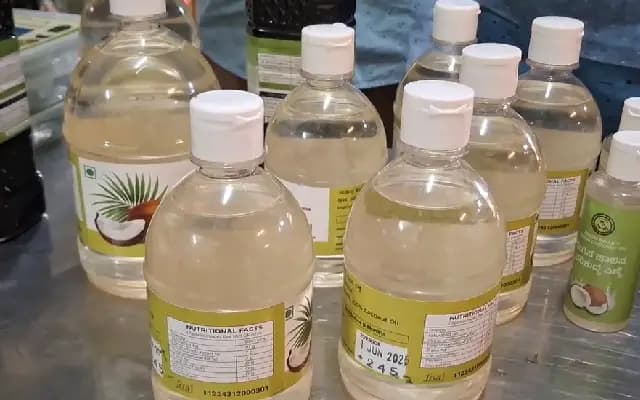 Relief for Coconut Farmers: Innovative Tool Unveiled to Tackle Pest Menace