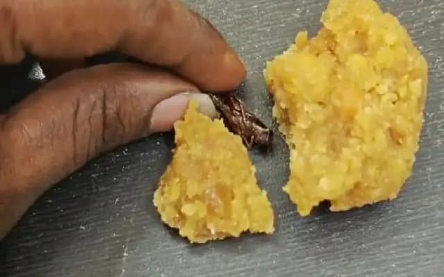 Srisailam Police Book Man for False Claim on Temple Laddu Contamination