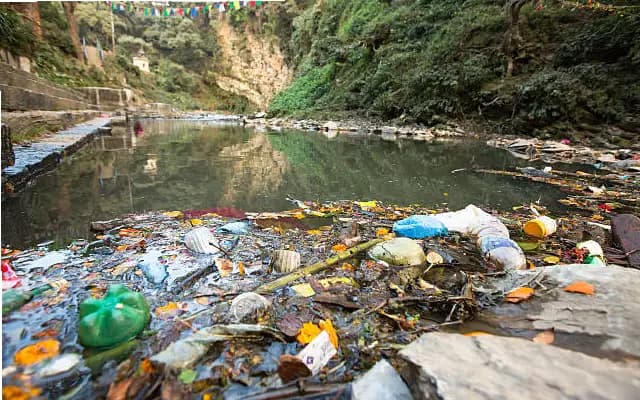 From Serenity to Squalor: Manipal Lake Faces Neglect Crisis