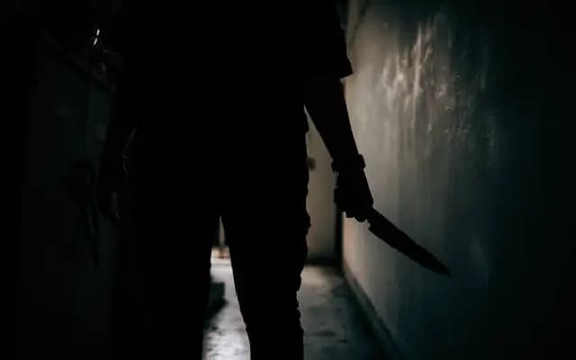Love Rejected, Life Lost: Woman Fatally Stabbed in Mysuru Daylight Attack