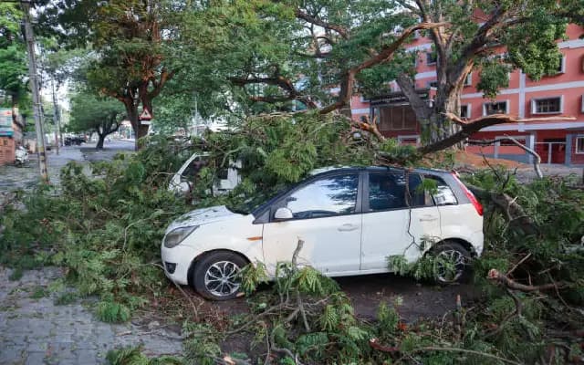 Heavy Rains, Strong Winds Uproot Tree in Mangaluru; Car Damaged, No Casualties
